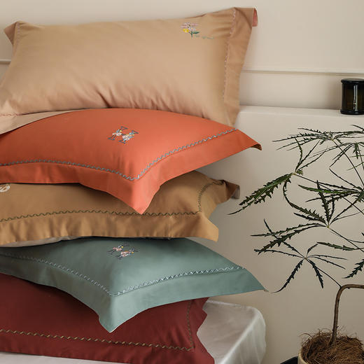 自然醒精梳火山全棉小魔毛工艺单品枕套一对装加厚纯棉毛巾绣枕头套单只HS 商品图4