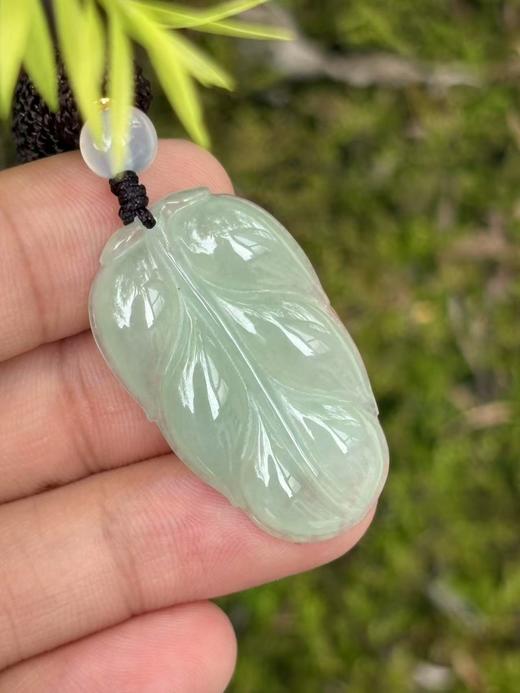 【专栏福利】冰种晴水翡翠金枝玉叶 叶子含证书 随机发货 商品图6