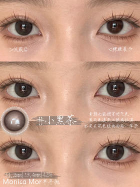 Monica Mor半年抛美瞳 小黑茶 14.2mm