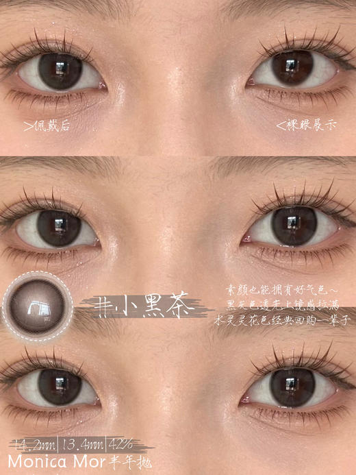 Monica Mor半年抛美瞳 小黑茶 14.2mm 商品图0