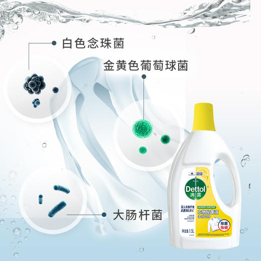 【滴露（Dettol）衣物除菌液清新柠檬1.5L】 商品图4