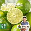 生态无籽青柠檬 3斤 | 合作农友生产，产自福建漳州，生产者：戴胜利 *【公平贸易农人定价】 商品缩略图0