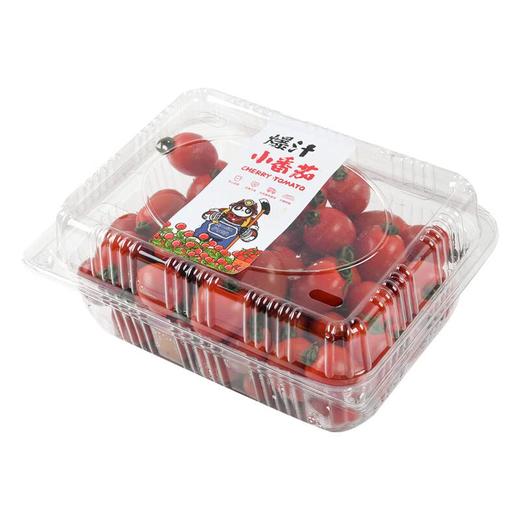 小番茄1kg 商品图0