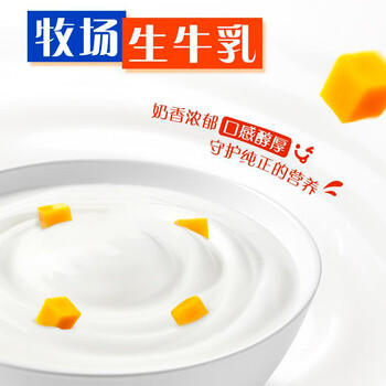 蒙牛纯甄芒芒西柚酸奶200g*10盒 佐餐解腻送礼盒装新老包装随机 商品图6