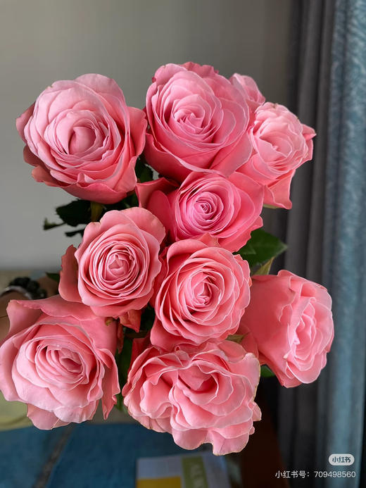 国产玫瑰-【和弦】 商品图0