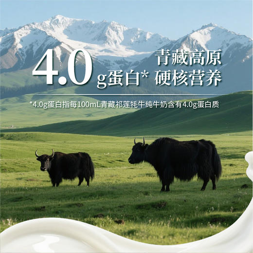 【尝鲜装】青藏祁莲祁连山牧场 牦牛奶含量≥95% 250ml*2支 商品图4