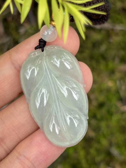 【专栏福利】冰种晴水翡翠金枝玉叶 叶子含证书 随机发货 商品图8