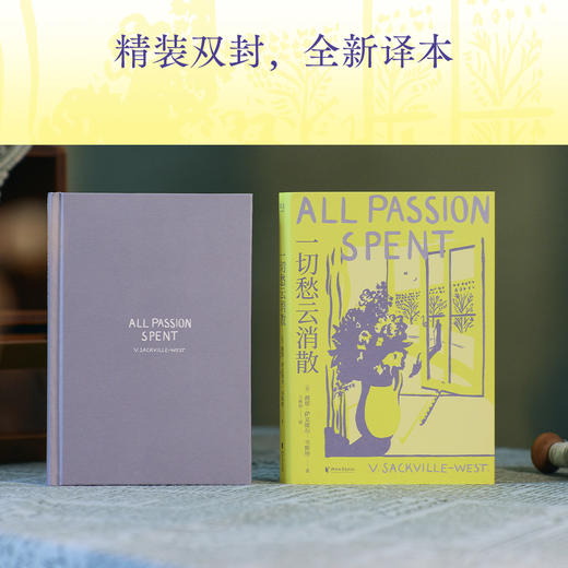 一切愁云消散（小说版《一间只属于自己的房间》，为自己而活，什么时候都不晚） 商品图4