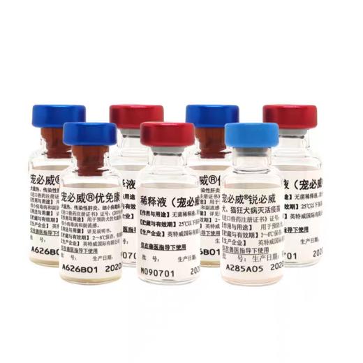 英特威犬四联疫苗一针 商品图2