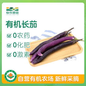 有机长茄500g