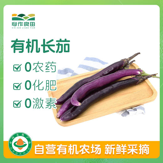 有机长茄500g 商品图0
