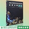 世界名蝶 商品缩略图2