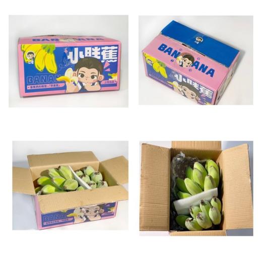 萌宠小胖蕉2kg装 商品图3