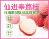 增城仙进奉荔枝3斤精选果 商品缩略图0