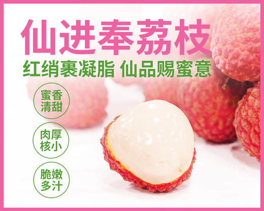 增城仙进奉荔枝3斤精选果 商品图0