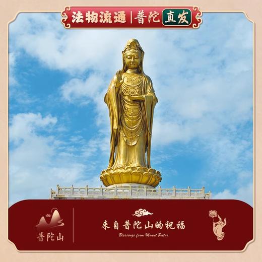 【普陀山】猫爪奶豆菩提根手串女盘玩白玉菩提子手链 商品图4