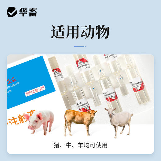 华畜 复方磺胺间甲氧嘧啶钠注射液10支 链球菌 混合感染高热不食 商品图2