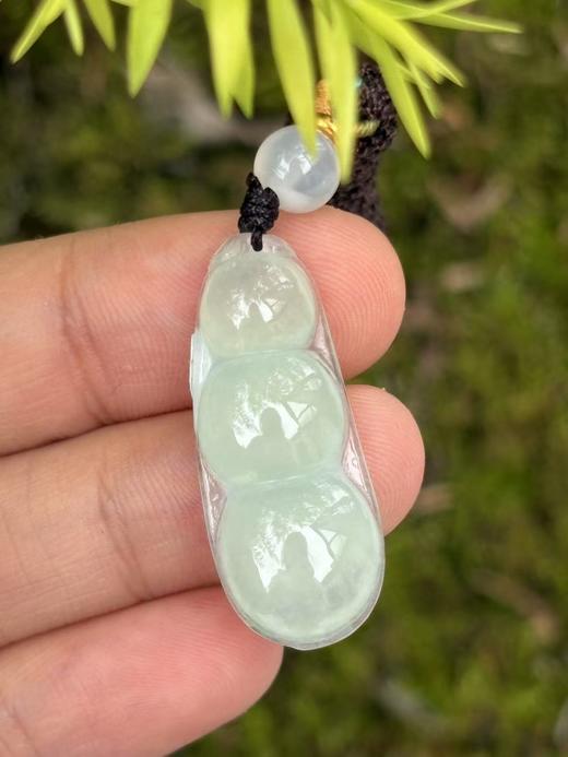 【专栏福利】冰种晴水翡翠连中三元  福禄寿齐全 随机发货 附证书 商品图8