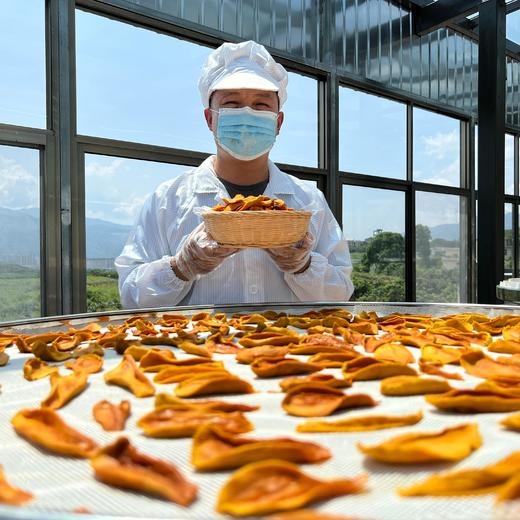 生态芒果干（无糖）70克*3袋/5袋 商品图6