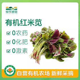 有机红米苋500g