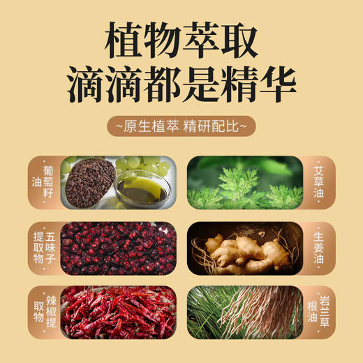 【送刮痧板 舒爽按摩】南京同仁堂艾草生姜按摩油 一瓶多用 草本植萃 温和发热不伤肤 500ml/瓶 商品图1