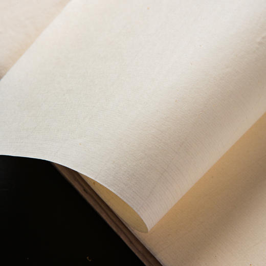 70-80年代天津杨柳青画店制木版水印大画笺(竹，单张) 商品图7