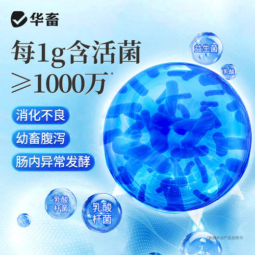 华畜兽用乳酶生片猪羊家畜幼畜腹泻胀气助消化促反刍益生菌乳酸菌 商品图2