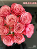 国产玫瑰-【和弦】 商品缩略图1