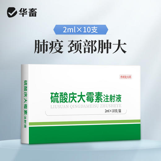 华畜硫酸庆大霉素注射液10支 败血症呼吸道感染 用于革兰氏阴性和阳性细菌感染 商品图1