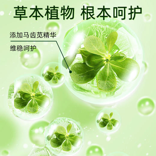 古法 马齿笕膏 商品图3