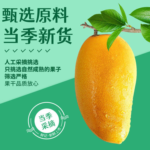 【香甜浓郁 果肉金黄】鲜记芒果干388g/罐 果肉柔软少纤维 商品图3