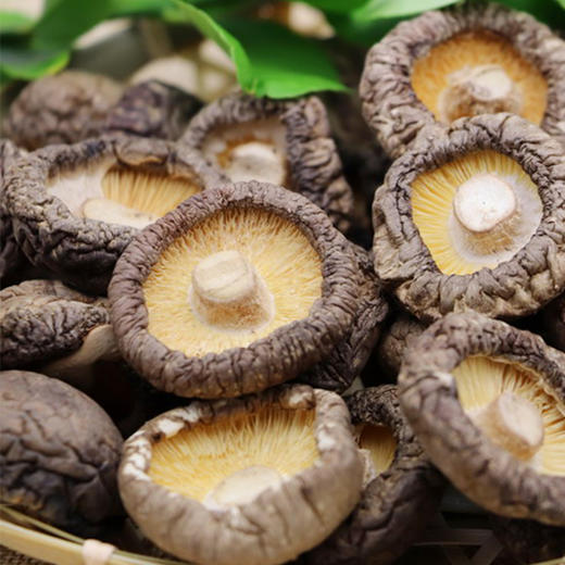 阿比该香菇175g 商品图2