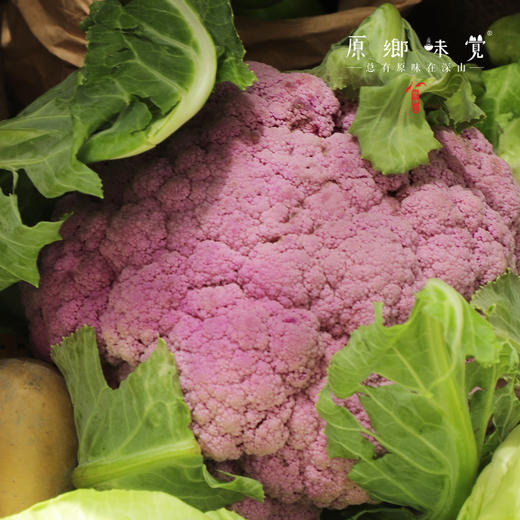 【预售7月5号/6号发货】生态高原紫花菜（农场直发-顺丰包邮）|紫花菜3.5—4斤装，来自四川小金，生产者：吴明清【合作生产，公平贸易 商品图1