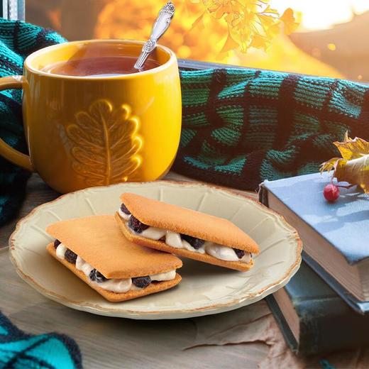 满滋屋朗姆提子夹心饼干96g 商品图5