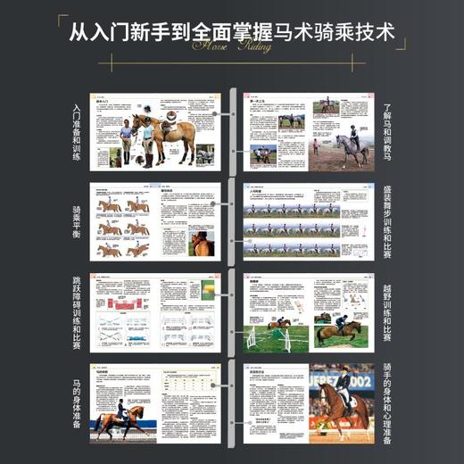 DK马术全书 全新升级版 商品图2