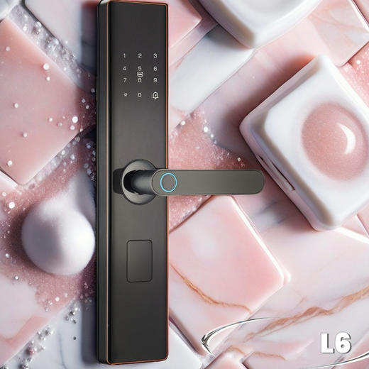 半自动L6智能指纹锁（不含锁体） 商品图1