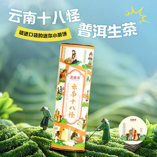 正皓茶业丨云南十八怪 勐海生普小沱茶 普洱生茶 2017年 126g（7g*18） 商品图0