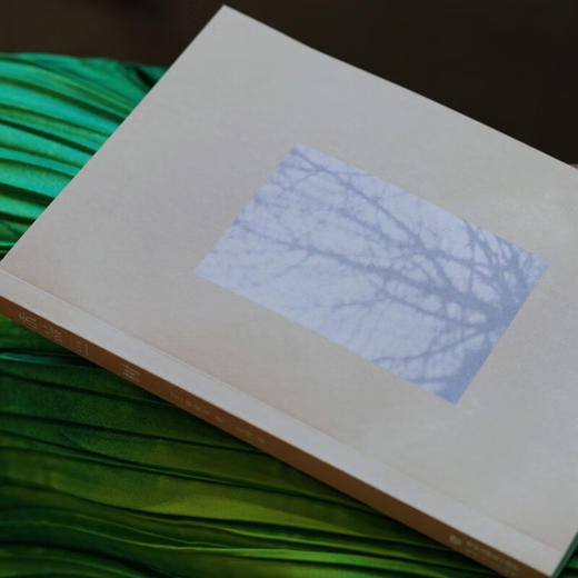 树（电影《完美的日子》点睛之书，一部关于生命的旅行札记）（日）幸田文 著 商品图6