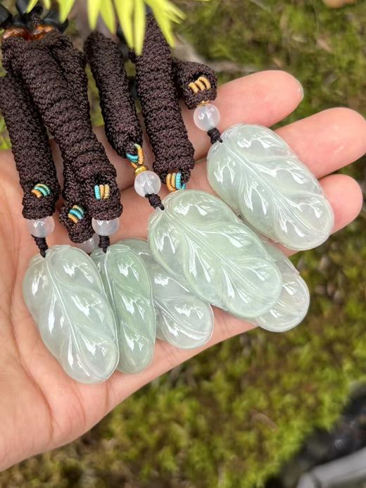 【专栏福利】冰种晴水翡翠金枝玉叶 叶子含证书 随机发货 商品图3