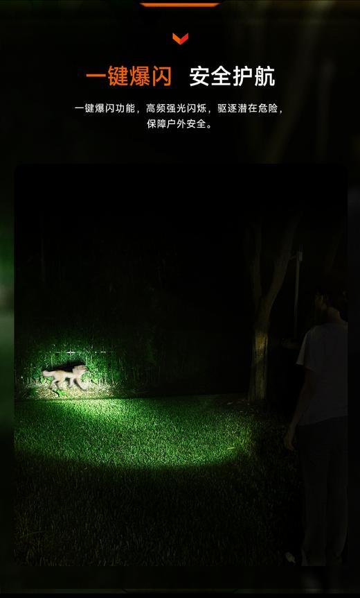 FENIX菲尼克斯LD35R强光充电远射手电筒便携式户外露营家用照明灯 可开发票 商品图7