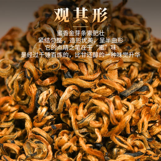 凤宁号 【蜜香金芽】滇红茶云南凤庆大叶种茶红茶茶叶250g/盒 商品图3