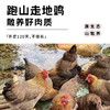 喜辉 海南椰子鸡火锅套餐 商品缩略图2