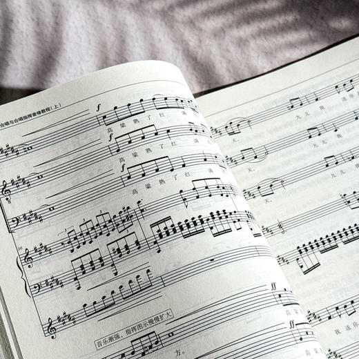 合唱与合唱指挥普修教程 上下册 高等院校音乐通用教材 商品图13