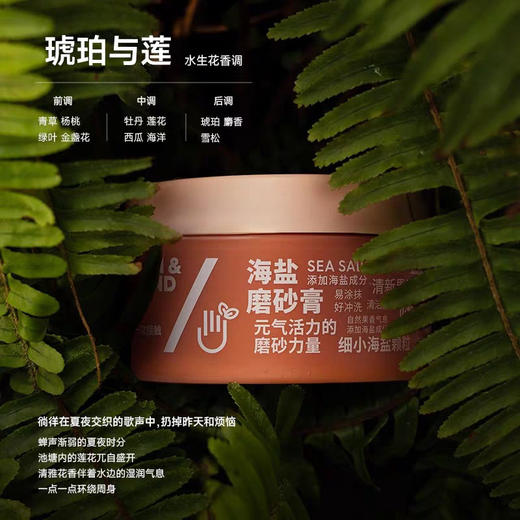 拓趣海盐身体磨砂膏 商品图0