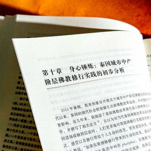 回到日常生活 社会学与人类学的探索 储卉娟 张慧 日常生活论坛 商品图2