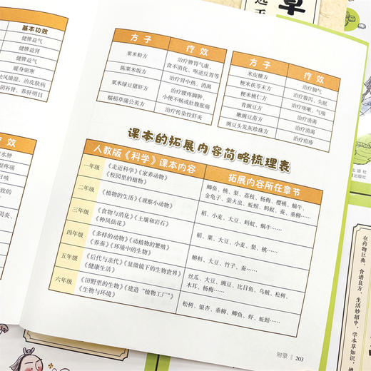 漫画讲透本草纲目 商品图5