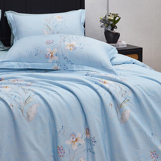 梦洁家纺 纯棉印花四件套-云梦花影 商品图1