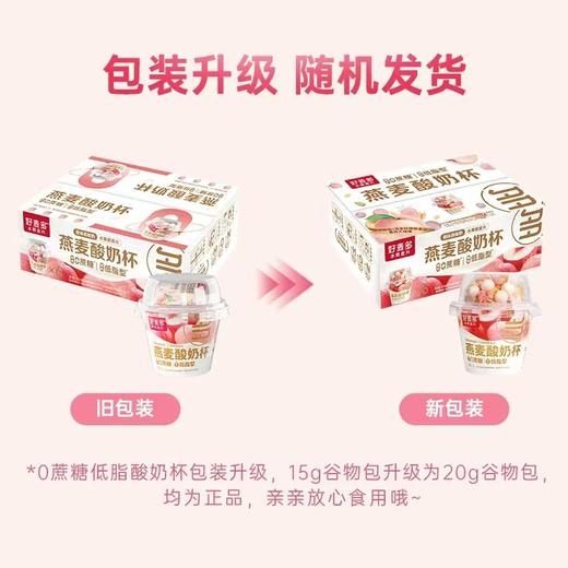 【麦麦SY】【0蔗糖低脂款】好麦多桃桃燕麦酸奶杯（6杯*165g）*1箱 商品图6