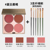 【一盘多用！细腻服帖】多用膏腮红眼影口红高光综合盘哑光唇泥素颜显白学生修容盘一体。ry 商品缩略图4