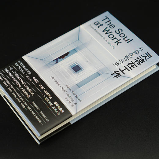 灵魂在工作：从异化到自主 商品图2